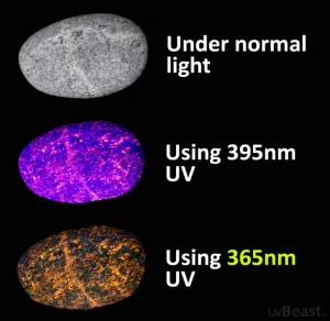 Black Light UV Flashlight