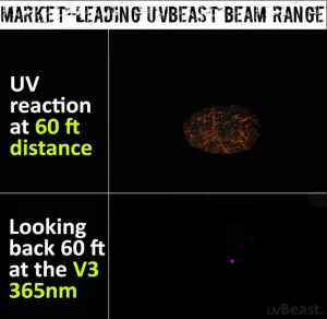 Black Light UV Flashlight
