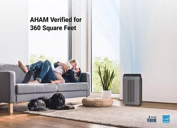 Winix 5300-2 with HEPA